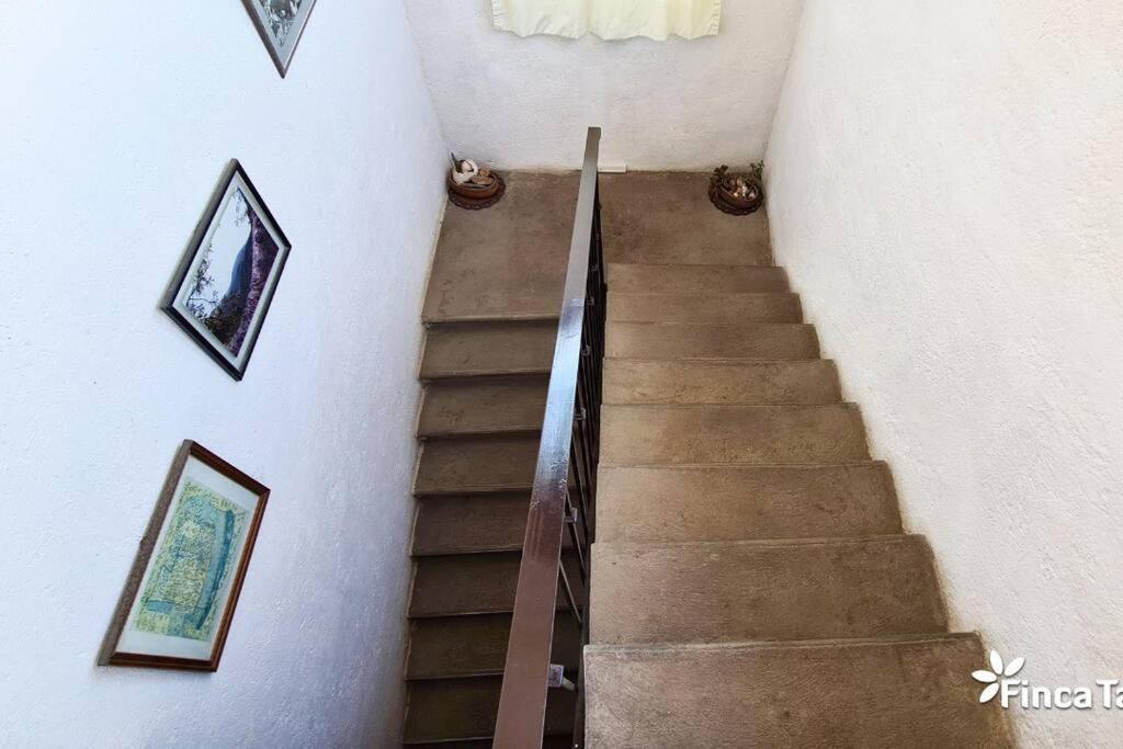 Finca Taino. Hermosa Casa Con Alberca Jiutepec Ngoại thất bức ảnh
